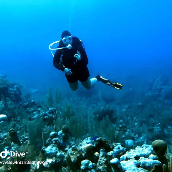 Meet your Posher, Nancy - Picture 1 of 1